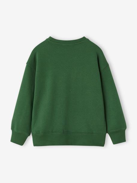 Jongenssweater met motief op de borst Engels groen+groen+leiblauw+okergeel - vertbaudet enfant 