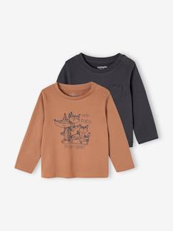 Set van 2 T-shirts Basics baby lange mouwen  - vertbaudet enfant