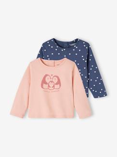 Set van 2 T-shirts BASICS baby lange mouwen  - vertbaudet enfant