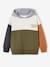 Sweater met colorblock en capuchon Basics jongens meerkleurig+olijf - vertbaudet enfant 