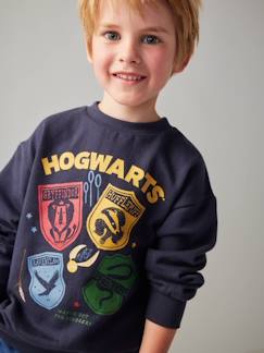 Jongens-Jongenssweater Harry Potter® Wapenschilden