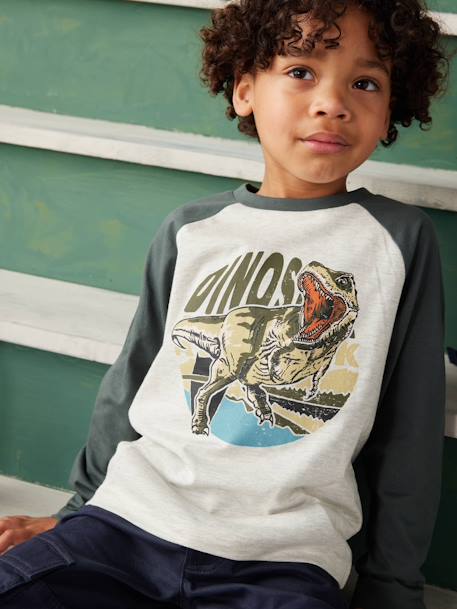 Oeko-Tex® grafisch jongens-T-shirt met raglanmouwen BLAUW+gemêleerd grijs+korstmos+leiblauw+pecannoot - vertbaudet enfant 