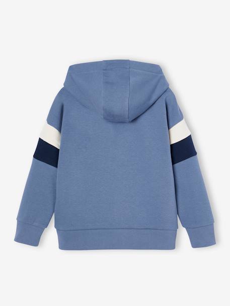 Grafische hoodie met colorblock mouwen voor jongens gemêleerd wit+grijsblauw+korstmos+zachtpaars - vertbaudet enfant 