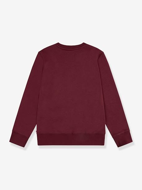 Sweater voor jongens Batwing Crewneck van LEVI'S® bruin - vertbaudet enfant 