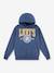 Jongenshoodie LVB Sporty Hoodie LEVI'S blauw+groen - vertbaudet enfant 