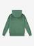 Sweater met capuchon LVB Lasso it up Hoodie LEVI'S groen - vertbaudet enfant 