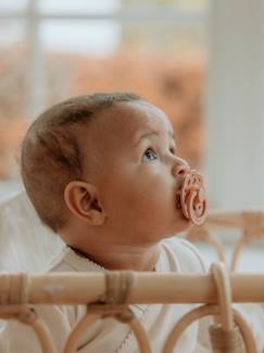 Verzorging-Baby eet en drinkt-Bijtring met fopspeen-Set van 2 BIBS Bohème-fopspenen, maat 1 van 0 tot 6 maanden