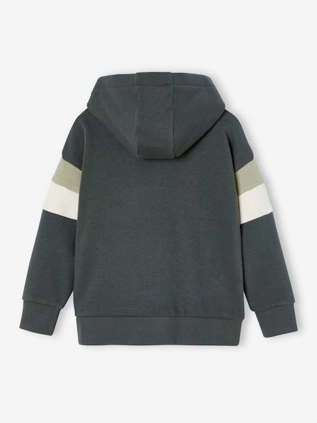 Grafische hoodie met colorblock mouwen voor jongens gemêleerd wit+grijsblauw+korstmos+zachtpaars - vertbaudet enfant 