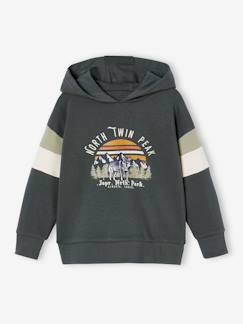 -Grafische hoodie met colorblock mouwen voor jongens