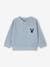 Sweatshirt honingraatstof jongensbaby ijsblauw - vertbaudet enfant 