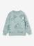 Sweatshirt jongens Paw Patrol® blauwgroen - vertbaudet enfant 