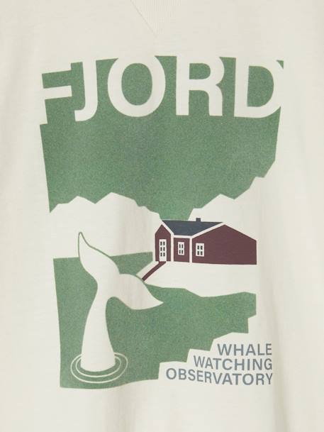 T-shirt voor jongens met Fjord-motief met lange mouwen ecru - vertbaudet enfant 