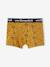 Set met 5 stretch boxers voor jongens ecru - vertbaudet enfant 