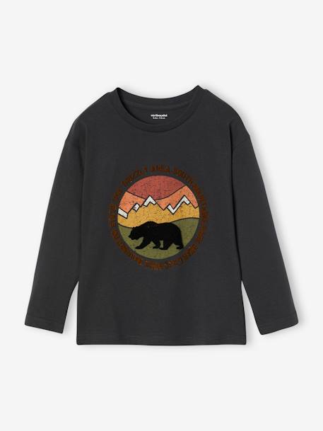 Natuur-T-shirt met flockdetails voor jongens antraciet+leiblauw+saliegroen - vertbaudet enfant 