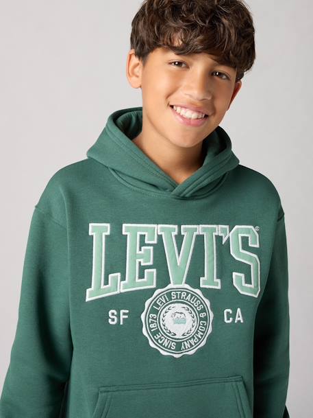 Jongenshoodie LVB Sporty Hoodie LEVI'S blauw+groen - vertbaudet enfant 