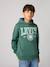 Jongenshoodie LVB Sporty Hoodie LEVI'S blauw+groen - vertbaudet enfant 