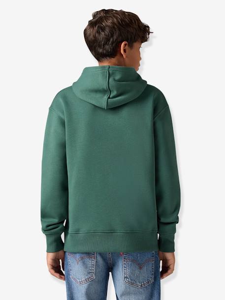 Jongenshoodie LVB Sporty Hoodie LEVI'S blauw+groen - vertbaudet enfant 