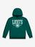 Jongenshoodie LVB Sporty Hoodie LEVI'S blauw+groen - vertbaudet enfant 