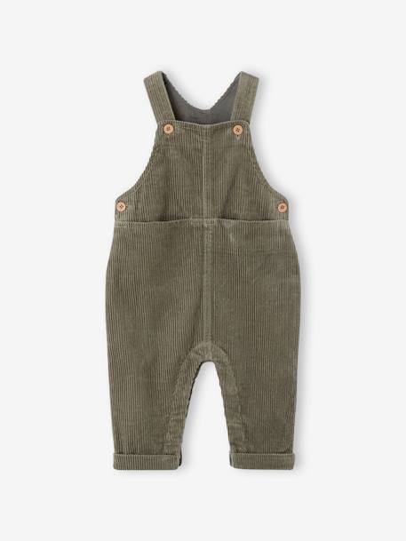 Velours tuinbroek baby jongen olijf+terracotta - vertbaudet enfant 