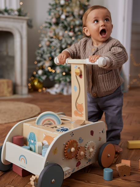 Loopwagen 2-in-1 Les amis de la forêt van FSC-hout hout - vertbaudet enfant 