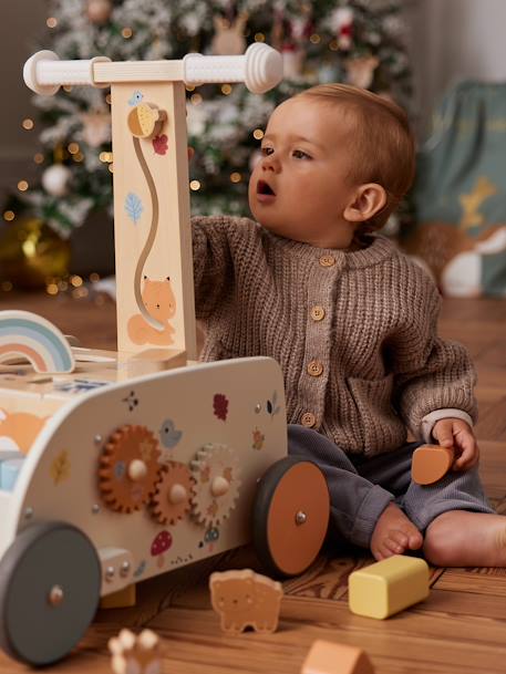 Loopwagen 2-in-1 Les amis de la forêt van FSC 100%-hout hout - vertbaudet enfant 