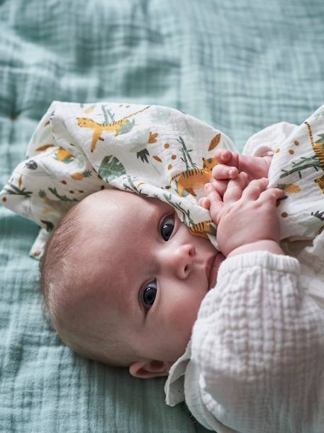 Set van 3 HANOÏ-doeken groen / meerkleurig - vertbaudet enfant 