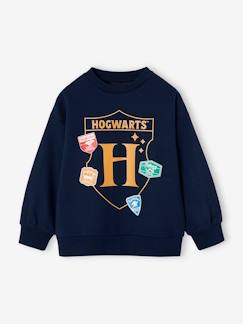 Jongens-Trui, vest, sweater-Jongenssweater Harry Potter®