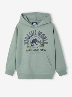 Jongens-Trui, vest, sweater-Sweater-Jungen Kapuzensweatshirt JURASSIC WORLD