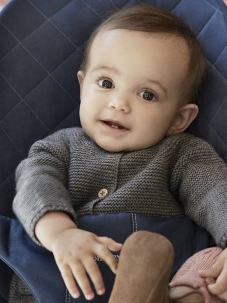 Bliss BABYBJORN fysiologische ligstoel antraciet+NACHTBLAUW+zandbeige+zwart - vertbaudet enfant 